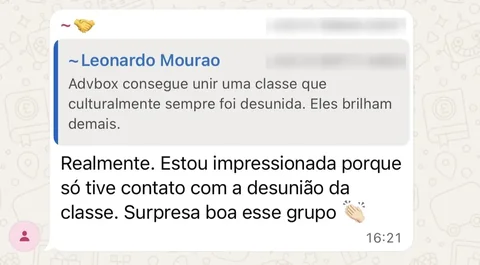 Depoimento de uma participante sobre a união da classe